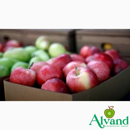 Price and buy best sweet red apples + cheap sale