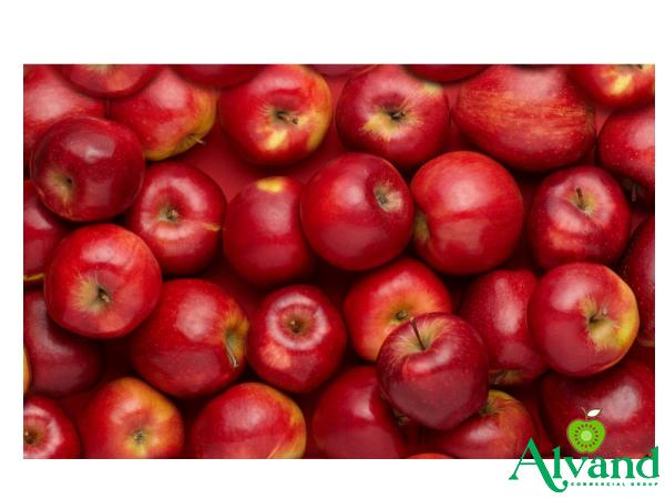 Buy and price of red delicious vs fuji