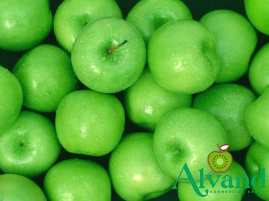 citrus pear price list wholesale and economical