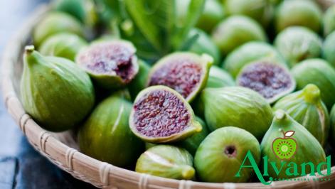 green kiwi fruit acquaintance from zero to one hundred bulk purchase prices